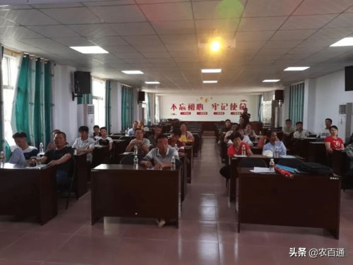 定安县雷鸣镇举办化肥减量增效技术培训班，以信息技术咨询助力现代农业发展