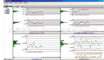 成都亚新宏道信息技术有限公司 行业专用软件产品与信息技术咨询服务概览