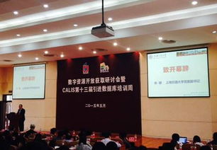 长煦信息技术咨询 专业引领，助力企业数字化转型与创新发展