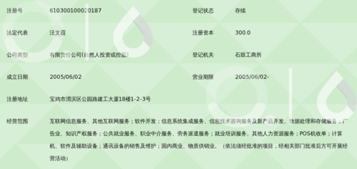 陕西汇才信息科技 专业信息技术咨询的领航者